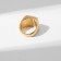 Male ring "ring" relief, black color in gold, 20 size
