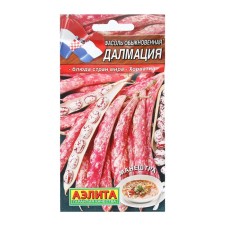Semen beans ordinary 
