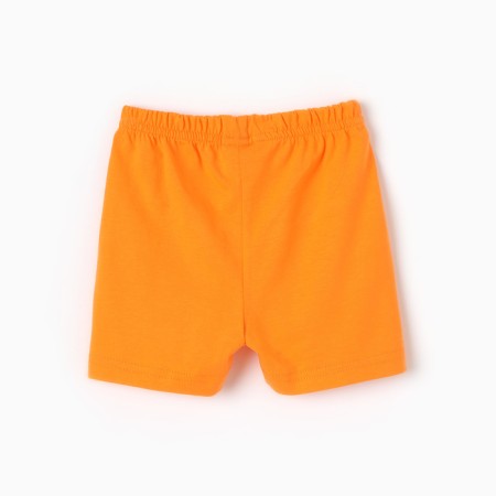 Shorts for a boy, orange color, height 74 cm-2