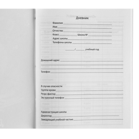 School diary, grade 1-11 in a soft cover, 40 l, spider-person-5