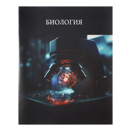 A set of subjects Calligrata Top "School style", 48 sheets, 10 items, with reference material, plastic cover, offset unit-11