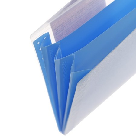 Folder-convert on a 260 x 132 mm button (Travel), 550 μm, Erichkrause "Matt Pastel Bloom", with an extension, 4 compartments, translucent, embossing "sand", mix-5