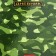 Universal diary for grades 1-11 "camouflage", solid cover, glossy lamination, 40 sheets