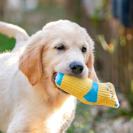 The toy is soft with a squeak yellow sock, 16 cm-6