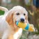 The toy is soft with a squeak yellow sock, 16 cm