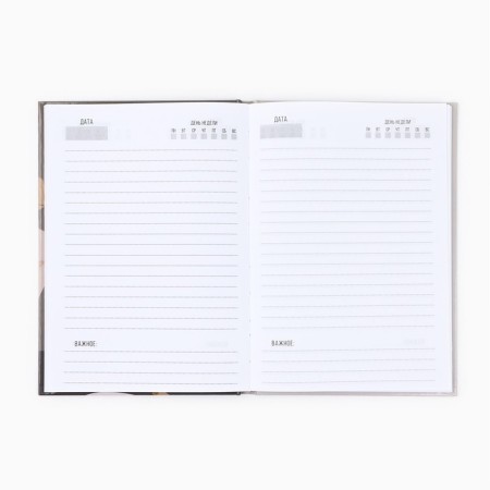 Diary A5, 80 liters, a solid cover "Teacher: for great ideas"-2