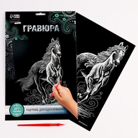 Engraving. Set of engravings "Animals", A4, 4 pcs-6