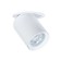 Pointed-built lamp Arte Lamp Situla A3731PL-1WH, GU10, 35 W, 6x10x10 cm, white