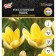 Crocus Botanical romance, river 7/8, 7 pcs, autumn 2024
