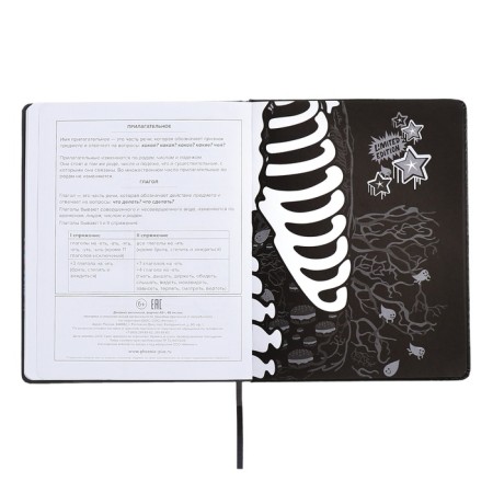School diary for grades 1-11, Skeleton Street, solid cover, artificial leather, lies, universal cheat sheet, 48 sheets, block 80g/m2-12