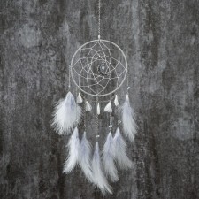 Dreams of Dreams 