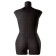 Portnovsky Monica mannequin, Standard set, size 48, black, “Milan” stand and case-shot