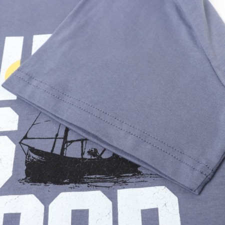 Male T -shirt with print, gray color, size 50-2
