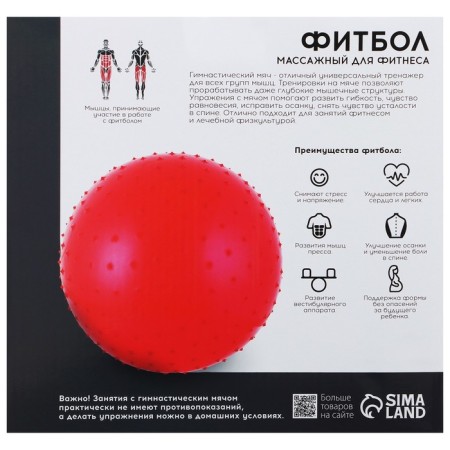 Fitball ONLYTOP, D = 55 cm, 800 g, massage, MIX colors-18