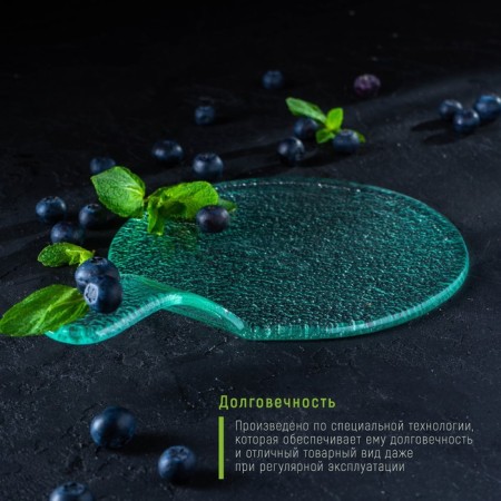Glass Serving Magistro "Avis", 24.5 × 17 × 3.5 cm, transparent color-5
