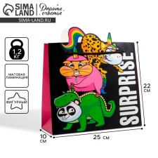 Gift package, packaging, SurPprise, 25 x 26 x 10 cm