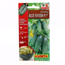 Cucumber seeds 