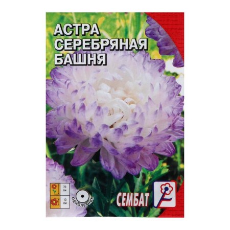 Flowers Astra Pionovid "Silver Tower", 0.2 g-2
