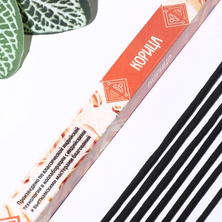 Set of incense "Breathing of nature assorted aromas", 8 packs of 8 sticks-8