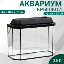 Aquarium 
