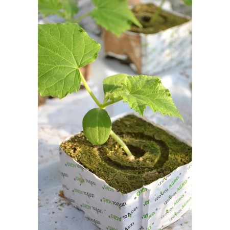 Ecover substrate mineral wool cube for plant seedlings, hole 20 × 15 mm, 10 × 10 × 6.5 cm-5