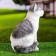 Garden figure "Cat" 25x16x30cm