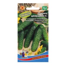 Seeds of the cucumber 