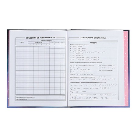 Diary Artificial leather grade 1-11, 48 sheets, cage, integral cover "cat", covered cardboard, matte lamination, selective UV-lame, universal cheat sheet, block 65 g/m2-8
