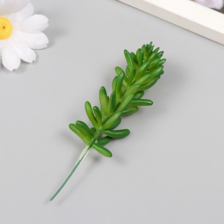 Artificial succulent for creating Florarium "Cleaning Morgan" set 4 pcs 6x11 cm-2