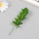 Artificial succulent for creating Florarium "Cleaning Morgan" set 4 pcs 6x11 cm