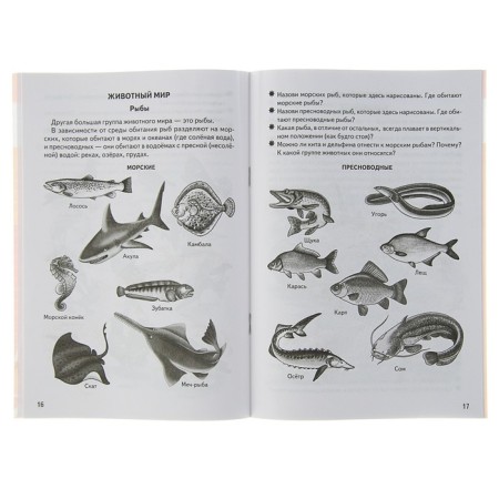 Workbook for children of 5-6 years old “We are getting acquainted with the outside world”, Bortnikova E.-2