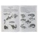 Workbook for children of 5-6 years old “We are getting acquainted with the outside world”, Bortnikova E.