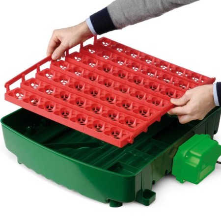 Incubator, 49 eggs, automatic coup, 120 in-4