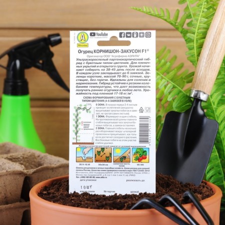 Seeds of cucumber "Cornish-Zakuson F1", early adhesive, bee-legged, 10 pcs.-4