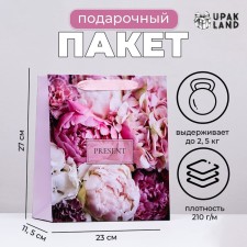 Packet Laminated Vertical Pressent, 23 x 27 x 11.5 cm