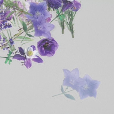 Plastic stickers "Spring flowers. Lilac" set 40 pcs 15x8 cm-3