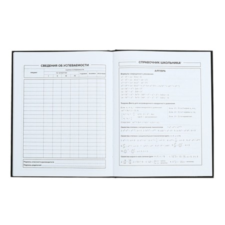 Universal Grade 1-11 Diary, 48 sheets "Bear with an umbrella", hard cover, matte lamination, universal cheat sheet, block 65 g/m2-8
