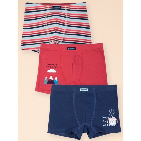 Panties for boys, height 110 cm, burgundy, red, dark blue color, 3 pcs