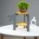 Standing Column Study Triangular Flora 21x27x25 cm, gray-yellow