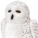 Soft toy "White Owl", 22 cm