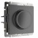 Dimmer (graphite graphite) W1142004