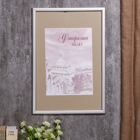 Photo frame pine С19 silver 30x45 cm (plastic screen)