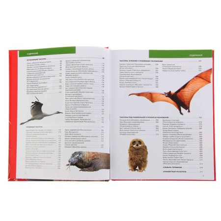 Red Book of Earth (new design). Skaldina O.V., Succan E.A.-5
