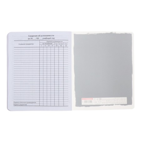 Universal 1-11 class diary, 48 sheets "main ducks", color printing, block 65g/m2-7