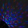 Light device "Crystal ball", IP65, glow RGB, 12 V