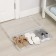 Box for storing shoes "Renome", 61 × 34 × 13 cm, transparent color