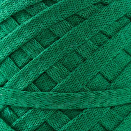 Ribbone yarn "Ribbon" 85m/170 ± 5 g (nephritis)-2