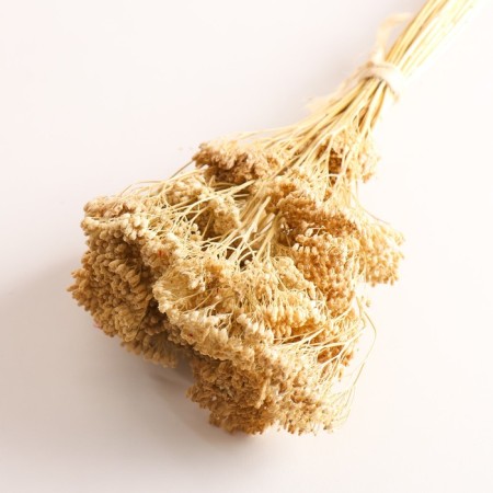Set of dried flowers "yarrow", banch length 60 (+/- 6 cm), bleached-2