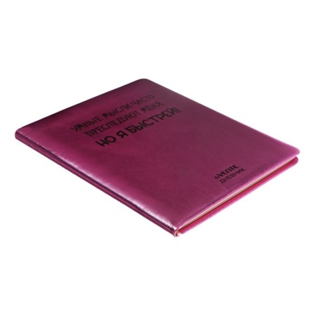 Universal diary for grade 1-11 Smart Thoughts, hard cover, artificial leather, foam rubber, silkography, lies, 80 g/m2-1