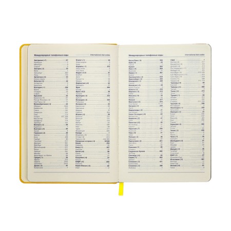 Leduced Diary A5, 140l, Cage, leatherette, elastic band, black cut, yellow-7